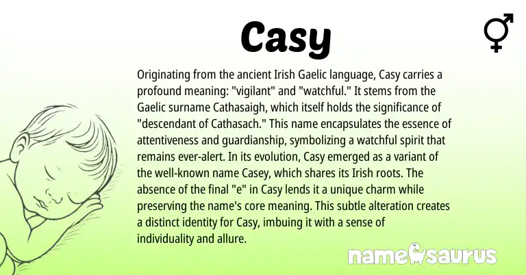 Infographic about Casy name meaning, Casy is a name from Irish, Gaelic origin(s).