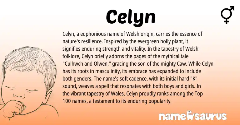 Infographic about Celyn name meaning, Celyn is a name from Welsh origin(s).