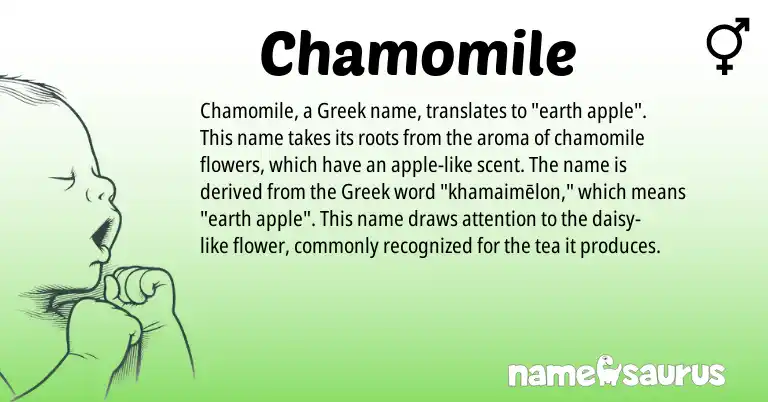 Infographic about Chamomile name meaning, Chamomile is a name from Greek origin(s).