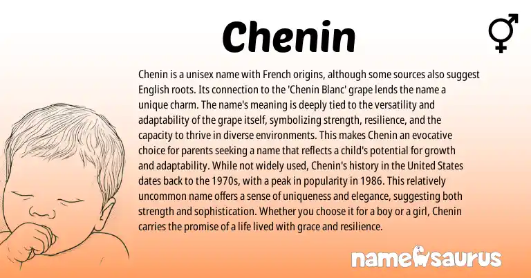 Infographic about Chenin name meaning, Chenin is a name from French origin(s).