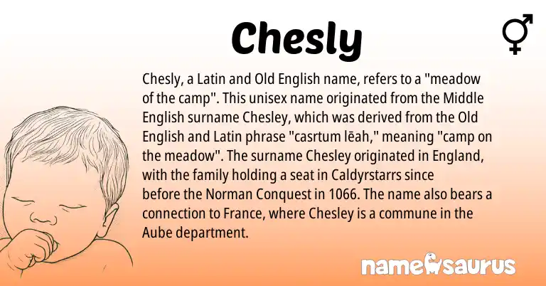 Infographic about Chesly name meaning, Chesly is a name from England, Latin, Middle English, Old English, Norman origin(s).