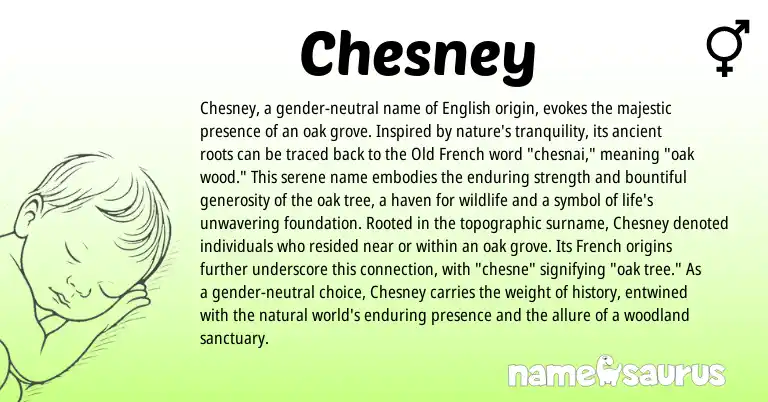 Infographic about Chesney name meaning, Chesney is a name from English, French, Old French origin(s).