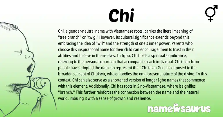 Infographic about Chi name meaning, Chi is a name from Vietnamese, Igbo origin(s).