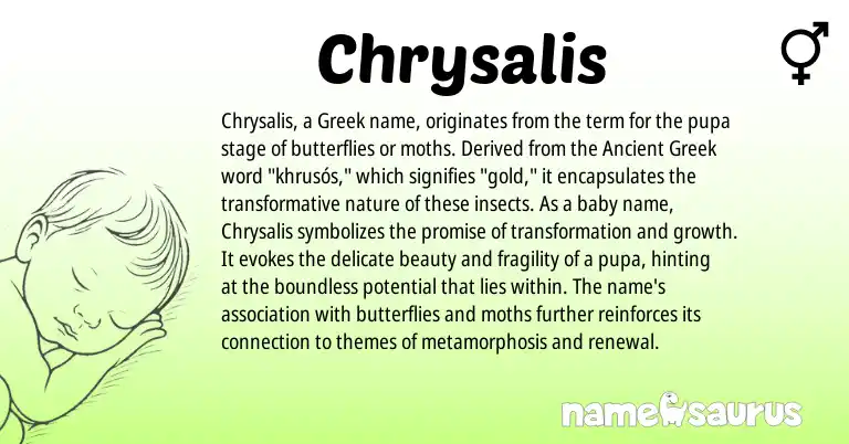 Infographic about Chrysalis name meaning, Chrysalis is a name from Ancient Greek, Greek origin(s).