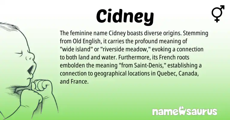 Infographic about Cidney name meaning, Cidney is a name from Old English, French origin(s).