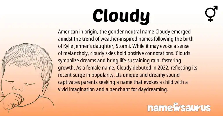 Infographic about Cloudy name meaning, Cloudy is a name from American origin(s).