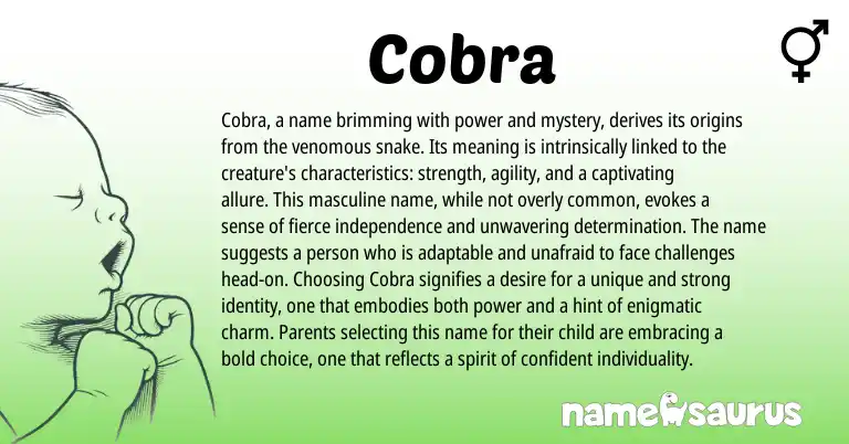 Infographic about Cobra name meaning, Cobra is a name from English origin(s).