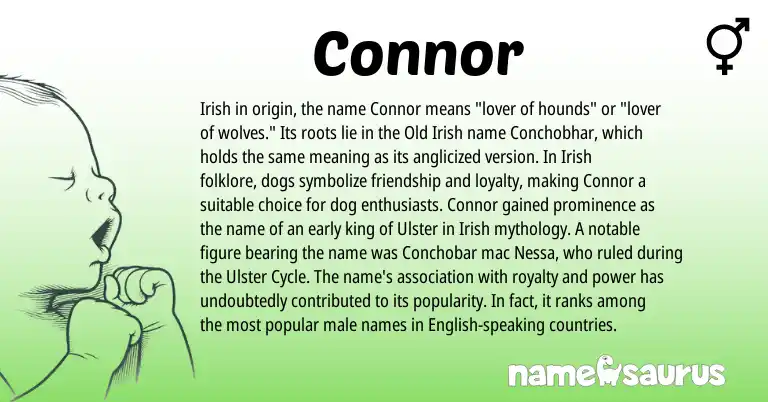 Infographic about Connor name meaning, Connor is a name from Irish, English, Old Irish origin(s).