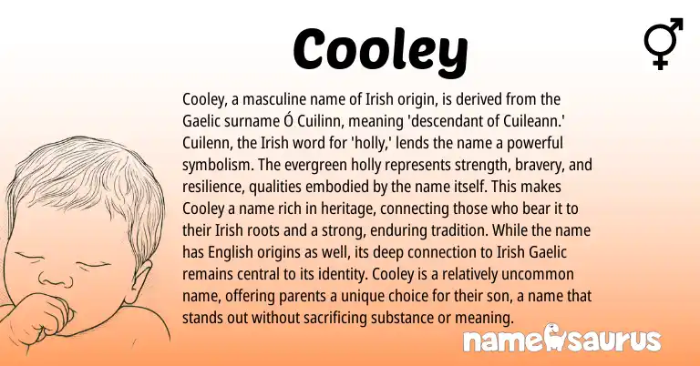Infographic about Cooley name meaning, Cooley is a name from Irish, Gaelic origin(s).
