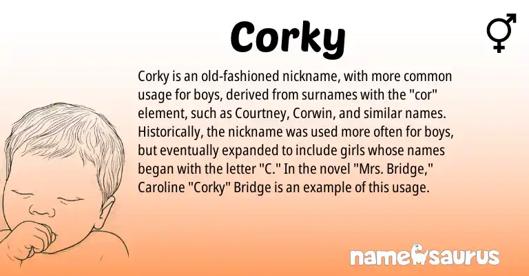 Infographic about Corky name meaning, Corky is a name from N/A origin(s).