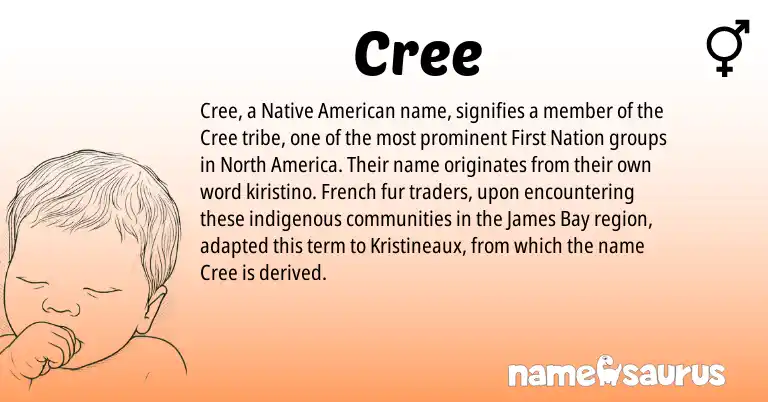 Infographic about Cree name meaning, Cree is a name from Native American, Cree, French origin(s).