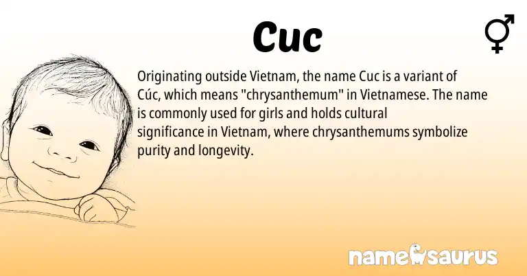 Infographic about Cuc name meaning, Cuc is a name from Vietnamese origin(s).