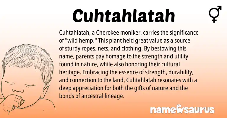 Infographic about Cuhtahlatah name meaning, Cuhtahlatah is a name from Cherokee origin(s).