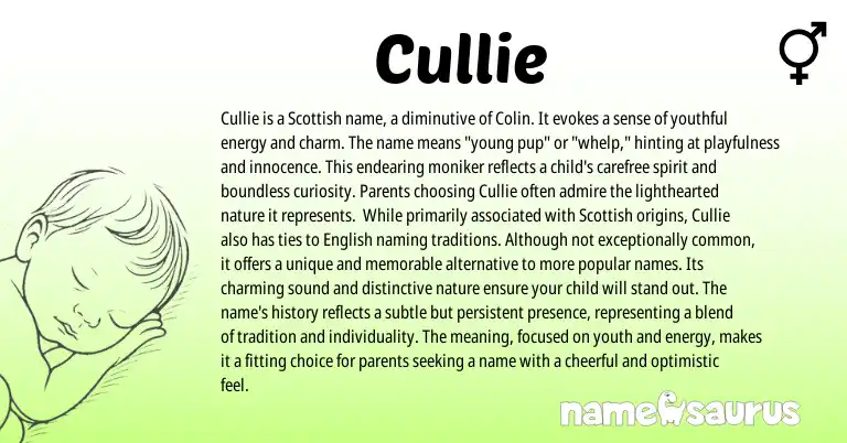 Infographic about Cullie name meaning, Cullie is a name from Scottish, English origin(s).