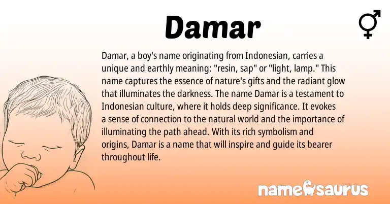 Infographic about Damar name meaning, Damar is a name from Indonesian origin(s).