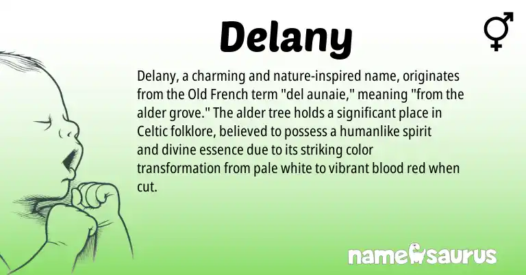Infographic about Delany name meaning, Delany is a name from Celtic, Old French origin(s).