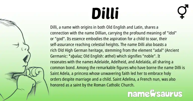 Infographic about Dilli name meaning, Dilli is a name from Old High German, Ancient Germanic, French, Latin, Roman, Old English origin(s).