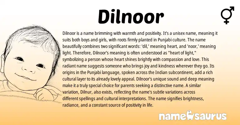 Infographic about Dilnoor name meaning, Dilnoor is a name from Persian, Punjabi origin(s).