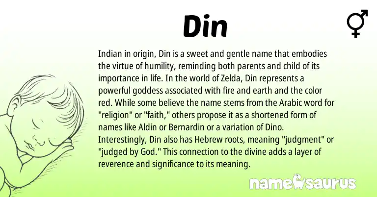Infographic about Din name meaning, Din is a name from Arabic, Indian, Hebrew origin(s).
