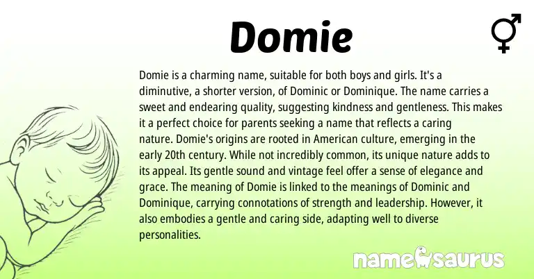 Infographic about Domie name meaning, Domie is a name from Other origin(s).