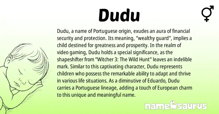 Infographic about Dudu name meaning, Dudu is a name from European, Portuguese origin(s).