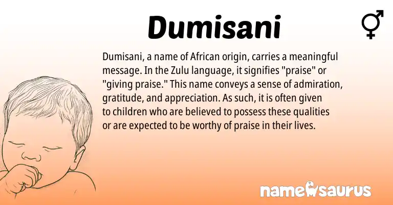 Infographic about Dumisani name meaning, Dumisani is a name from Zulu, African origin(s).