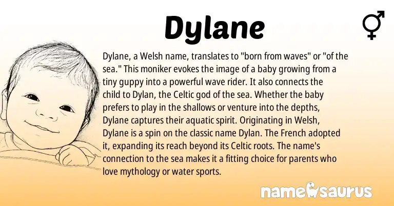 Infographic about Dylane name meaning, Dylane is a name from French, Welsh, Celtic origin(s).