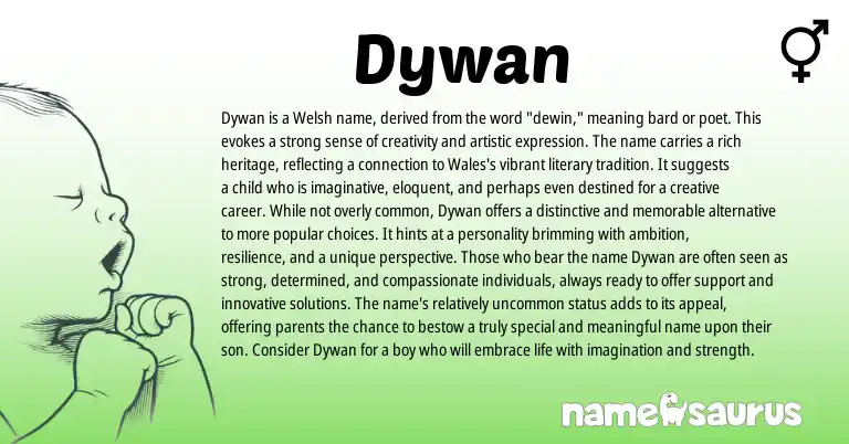 Infographic about Dywan name meaning, Dywan is a name from Other origin(s).