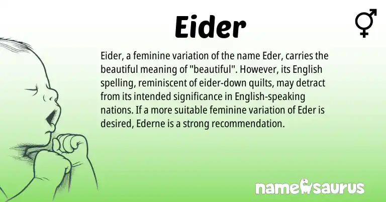 Infographic about Eider name meaning, Eider is a name from English origin(s).