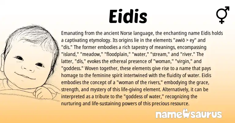 Infographic about Eidis name meaning, Eidis is a name from Norse origin(s).