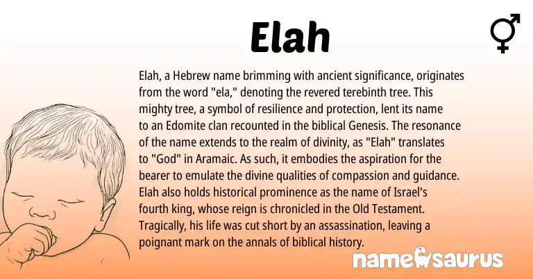 Infographic about Elah name meaning, Elah is a name from Aramaic, Hebrew origin(s).