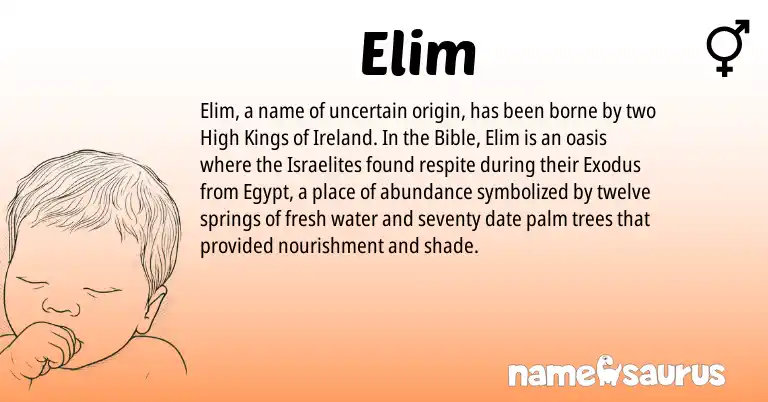 Infographic about Elim name meaning, Elim is a name from Ireland origin(s).