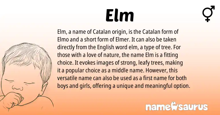 Infographic about Elm name meaning, Elm is a name from English, Catalan origin(s).