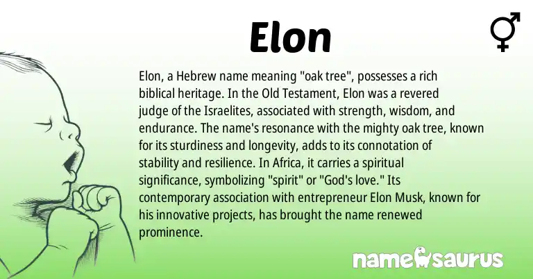 Infographic about Elon name meaning, Elon is a name from Hebrew origin(s).
