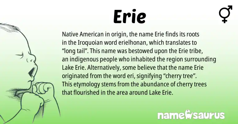 Infographic about Erie name meaning, Erie is a name from Native American origin(s).