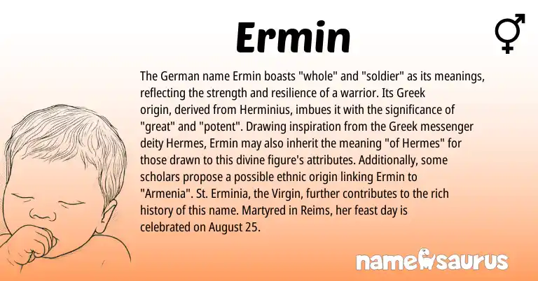 Infographic about Ermin name meaning, Ermin is a name from German, Greek origin(s).