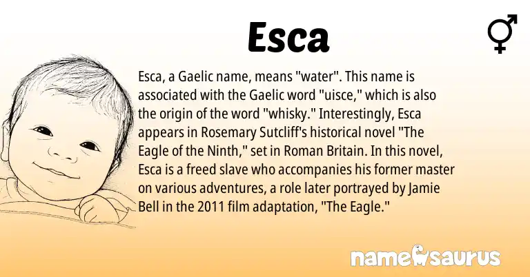 Infographic about Esca name meaning, Esca is a name from Gaelic, Roman origin(s).