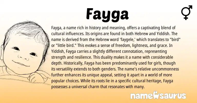 Infographic about Fayga name meaning, Fayga is a name from Yiddish, Hebrew origin(s).