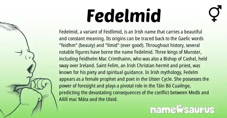 Infographic about Fedelmid name meaning, Fedelmid is a name from Irish, Gaelic, Ireland origin(s).