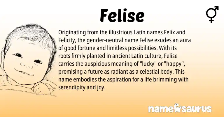 Infographic about Felise name meaning, Felise is a name from Latin origin(s).