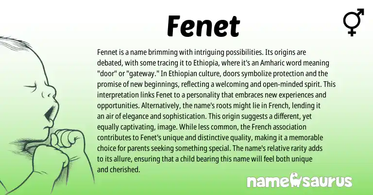 Infographic about Fenet name meaning, Fenet is a name from Ethiopian, Amharic origin(s).