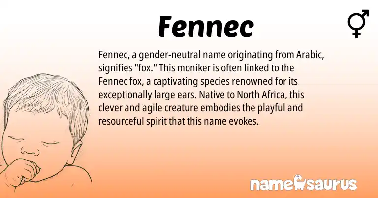 Infographic about Fennec name meaning, Fennec is a name from North Africa, Arabic origin(s).