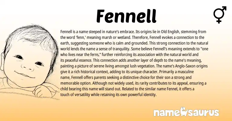 Infographic about Fennell name meaning, Fennell is a name from English, Irish origin(s).