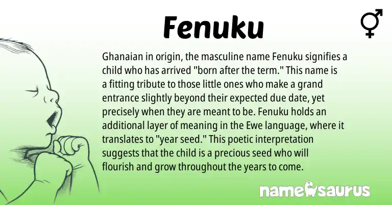 Infographic about Fenuku name meaning, Fenuku is a name from Ghanaian, Ewe origin(s).