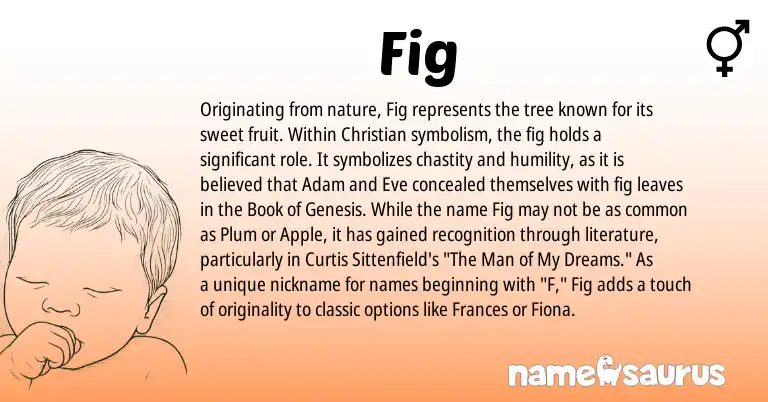 Infographic about Fig name meaning, Fig is a name from N/A origin(s).