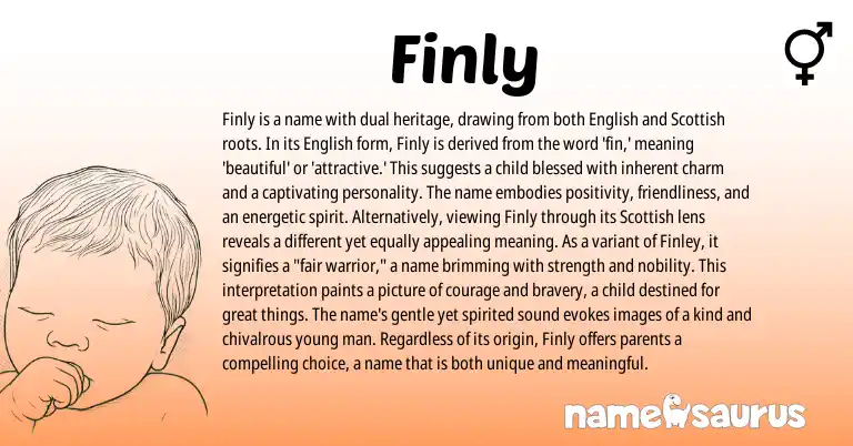 Infographic about Finly name meaning, Finly is a name from English origin(s).