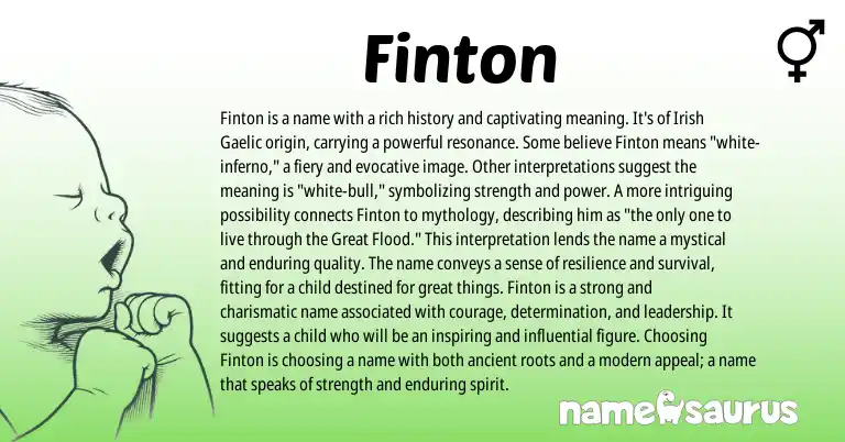 Infographic about Finton name meaning, Finton is a name from Arabic, Irish origin(s).