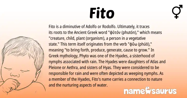 Infographic about Fito name meaning, Fito is a name from Ancient Greek, Greek origin(s).