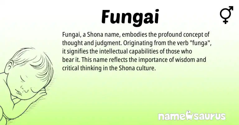 Infographic about Fungai name meaning, Fungai is a name from Shona origin(s).