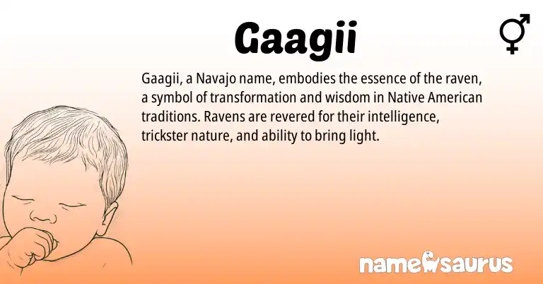 Infographic about Gaagii name meaning, Gaagii is a name from Native American, Navajo origin(s).